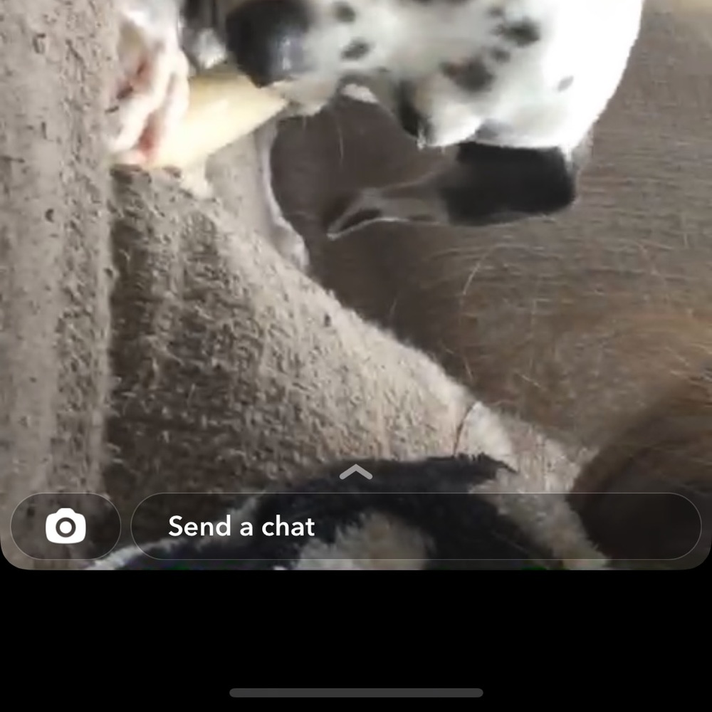 Meet your Posher, Alexandra